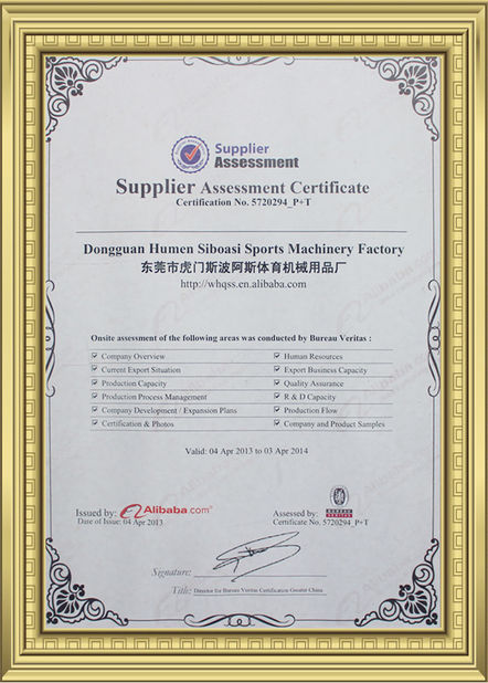 Cina Dongguan Skyegle Intelligent Technology Co.,Ltd. Sertifikasi